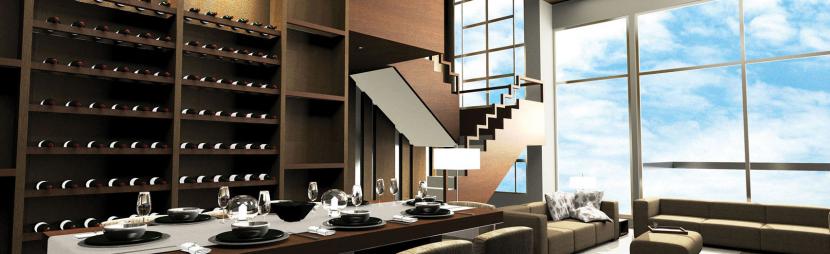 Foliile pentru geamuri SkyFol DR - Foliile pentru geamuri SkyFol DR -