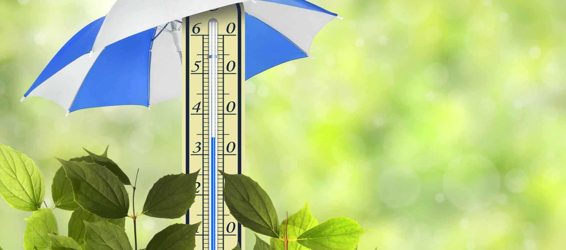 Cu folie pentru geamuri se reduce temperatura