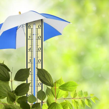 Cu folie pentru geamuri se reduce temperatura